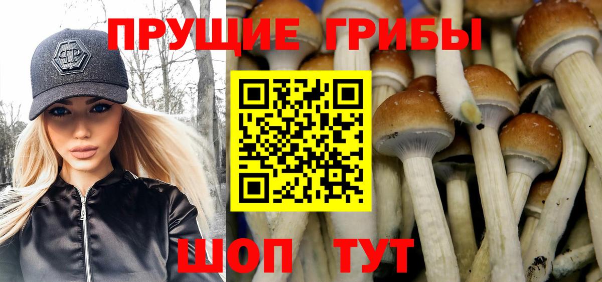 Галлюциногенные грибы Psilocybine cubensis  Вход с VPN  Джанкой  Галлюциногенные грибы ЛСД 